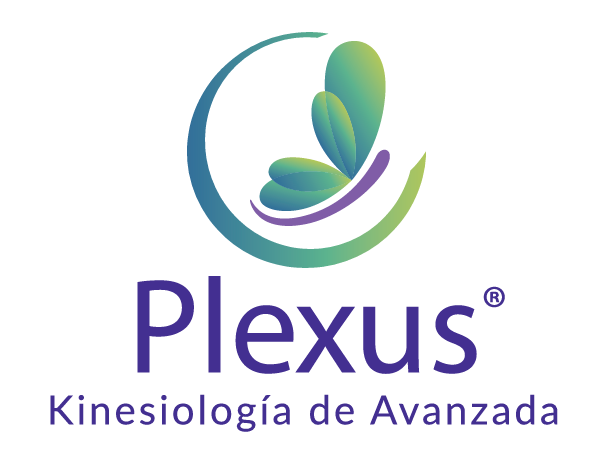 Plexus Kinesiología